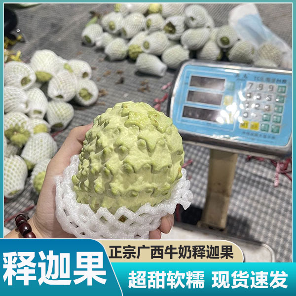 广西凤梨牛奶释迦果新鲜现摘水果番荔枝释迦佛头摩尼果当季包邮