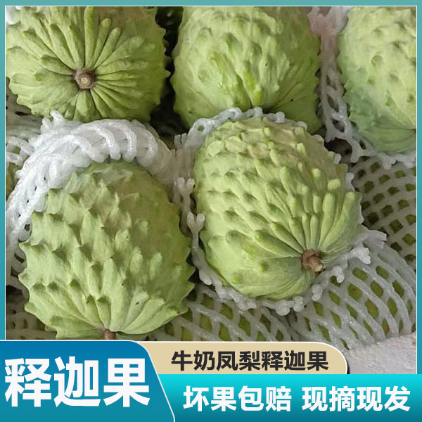 牛奶凤梨释迦果新鲜现摘大果番荔枝林檎摩尼佛头当季热带整箱水果