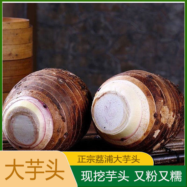 洋芋头新鲜酱洋姜新鲜农家腌制下饭菜脆嫩鬼子姜广西特产山芋泡菜