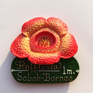 马来西国花亚沙巴婆罗洲扶桑花立体手工彩绘旅游纪念工艺品冰箱贴