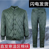 温区寒区军绿色军棉衣棉袄制式 套装 冬松枝绿单上衣短款 棉衣裤