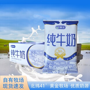 骑士纯牛奶227g16包内蒙古特产早餐奶成人不加糖袋无添加整箱批发