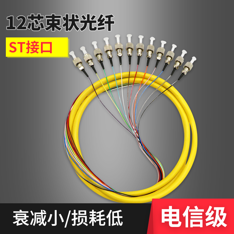 电信级12芯束状尾纤ST圆头单模光纤跳线工程用可订制FC/SC头尾纤|msdalam kategori peralatan rangkaian/Rangkaian yang berkaitan, Fiber peralatan optik, penerjun serat - dari Buy2taobao.com untuk memberikan perkhidmatan ejen Taobao profesional membeli