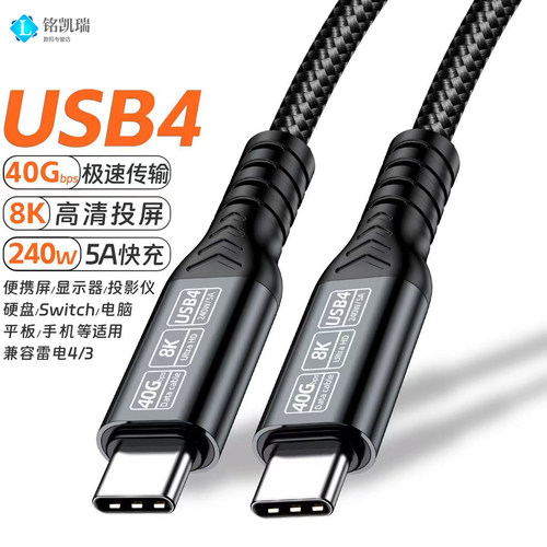 铭凯瑞PD线100WTypec100W