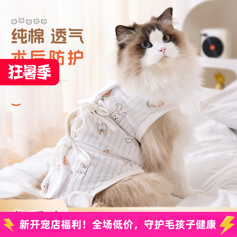 2026新款宠物四季防舔绝育服手术服母猫断奶服猫猫薄款猫咪衣服