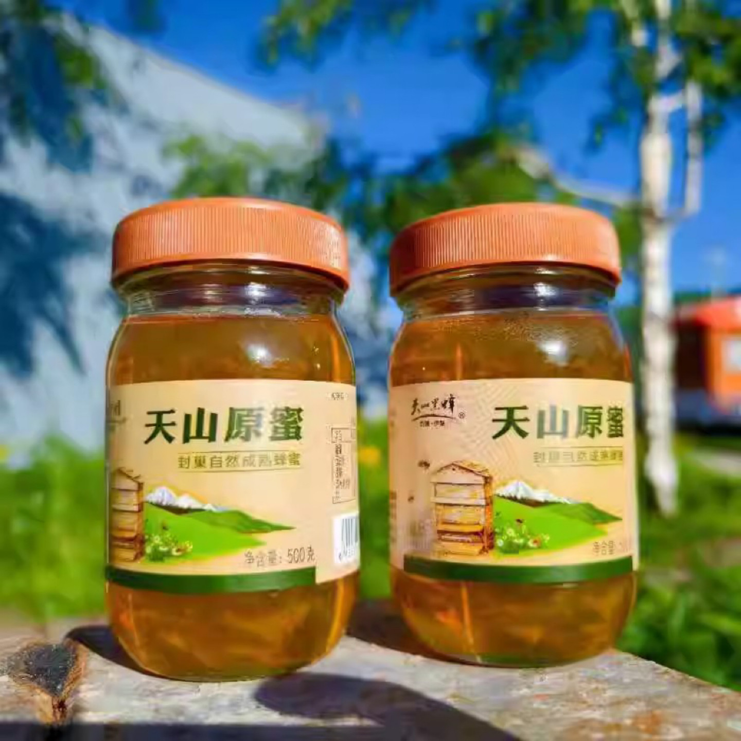 新疆天山黑蜂蜂蜜自然成熟百花原蜜 蜂巢蜂蜜 500克*2