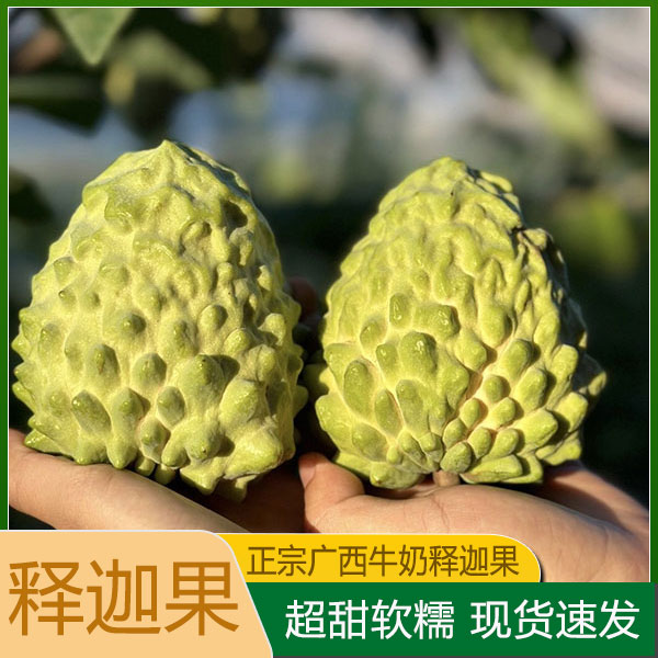 广西凤梨释迦果5斤新鲜番荔枝林檎佛头果摩尼果牛奶释迦孕妇水果