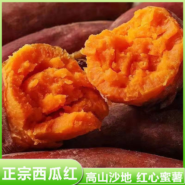 云南文山丘北高原蜜薯糖心红薯新番薯