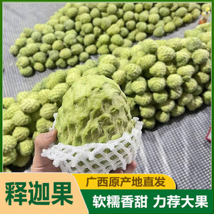 凤梨释迦果5斤牛奶新鲜番荔枝 现摘林檎佛头摩尼果当季新鲜牟尼果