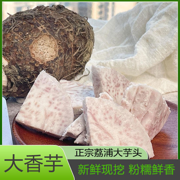 广西正宗荔浦大芋头香芋新鲜槟榔芋农产品小芋艿头香玉包邮