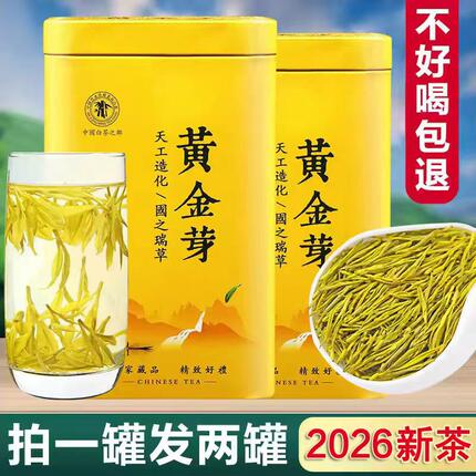 正宗白茶吉安2026年新茶特级礼盒装散装一级高山绿茶黄金芽茶叶