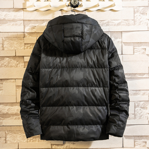 高品质男士时尚休闲羽绒服秋冬款228-4300-P80图片