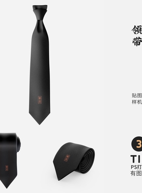 J19高端品牌logo提案商务领带VI样机模板psd智能贴图mockup