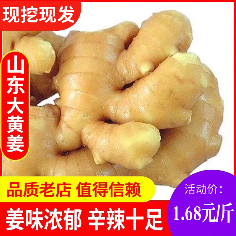 【现货秒发】山东大黄姜新鲜生姜现挖嫩树枝姜新姜老姜月子姜包邮