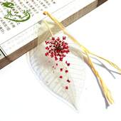 干花书签真树叶文艺生日送老师女友中小学生毕业礼品送同学创意