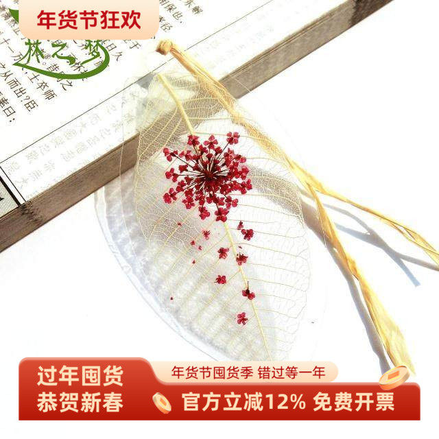 干花书签真树叶文艺生日送老师女友中小学生毕业礼品送同学创意