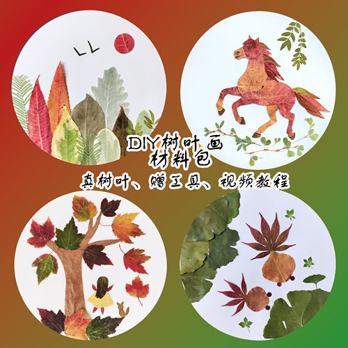 DIY压花树叶画材料包真树叶干花