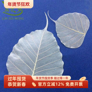 已刷胶菩提叶脉禅意真树叶标本抄经画佛像唐卡国画油画丙烯画材料