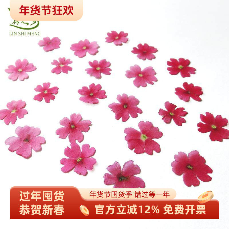 美女樱标本干花贴脸妆押花画滴胶手机壳儿童手工生日贺卡书签材料