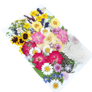 干花包植物标本diy手工压花材料包团扇贺卡台灯贴画押花大组合包