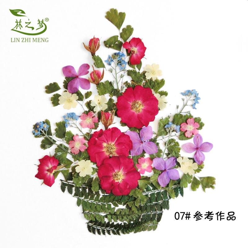 林之夢原創DIY花材多款干花搭配材料包兒童手工植物標本滴膠押花