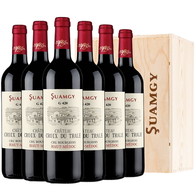 圣芝G420中级庄红葡萄酒官方正品