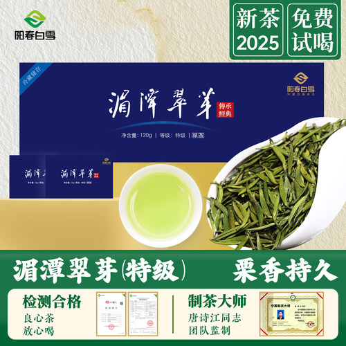 2025明前特级高山湄潭翠芽绿茶