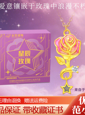 中国航天太空造物星辰玫瑰陨石项链吊坠七夕情人节礼物送女友百搭