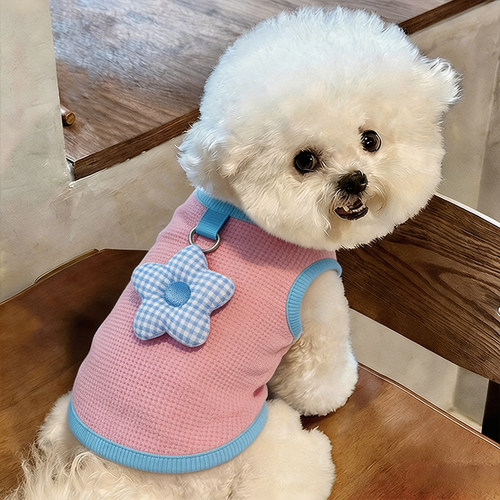 小狗衣服春装薄款幼犬夏天狗狗两脚衣带牵引扣比熊外出高颜值泰迪