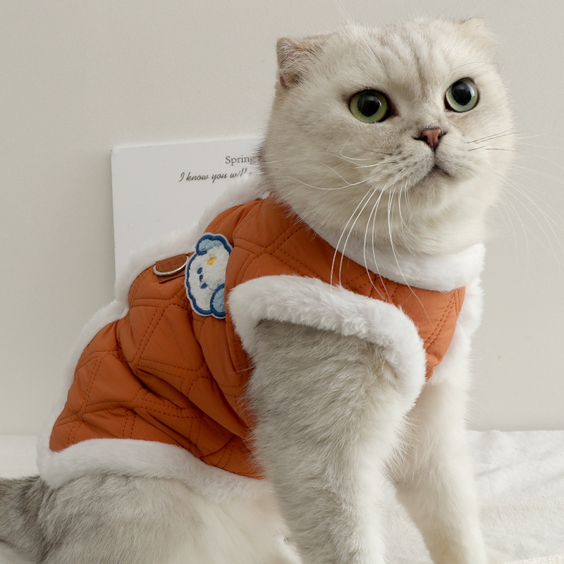 猫咪衣服秋季保暖幼猫防掉毛冬季棉马甲带牵引环德文卷毛猫金渐层