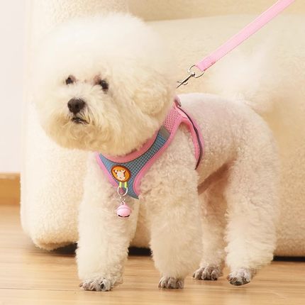 小狗狗牵引绳小型犬网红款专用狗网格遛狗绳背心式牵狗绳幼犬胸背