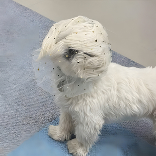 狗狗嘴套防咬防乱吃小狗专用狗头套面罩防吃网套马尔济斯比熊面纱