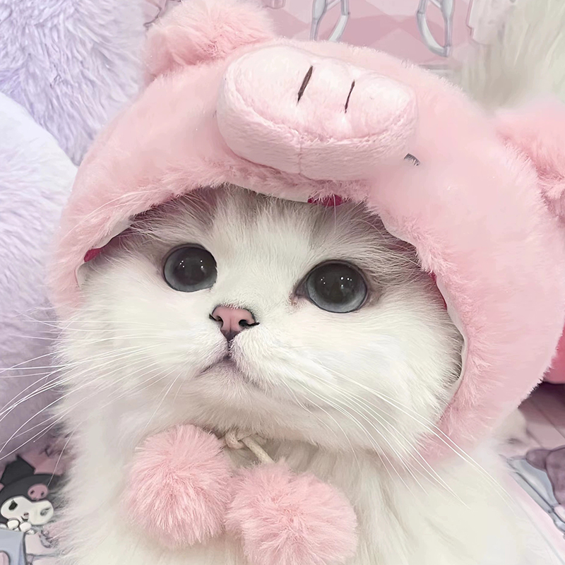 猫咪帽子露耳朵头套可爱金渐层小奶猫加厚加绒保暖搞怪卡通变装帽