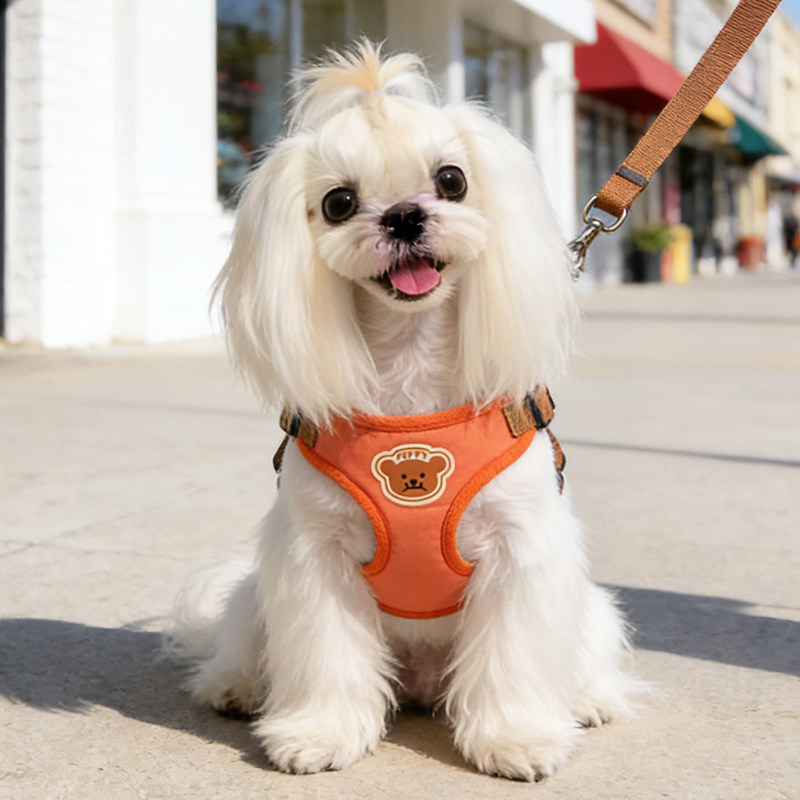 狗狗牵引绳小型犬背心式胸背带狗绳比熊幼犬专用遛狗绳高颜值宠物,宠物/宠物食品及用品,狗牵引绳,淘宝优惠券,粉丝福利购,淘宝优惠卷
