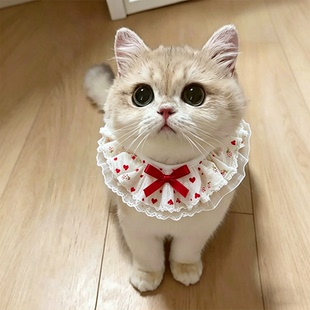 猫咪口水巾围兜小猫围脖脖颈小配饰金渐层红白蕾丝围嘴宠物高颜值