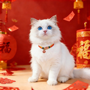 猫咪项链德文猫专用防走丢脖圈新年拍照用喜庆可调节高颜值小饰品