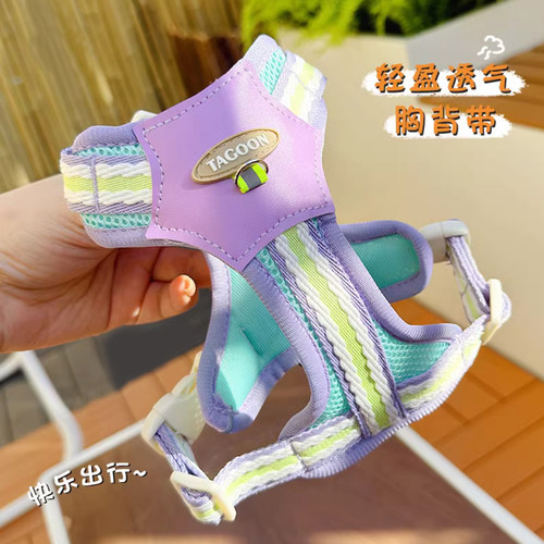 狗狗牵引绳小型犬比熊背心式