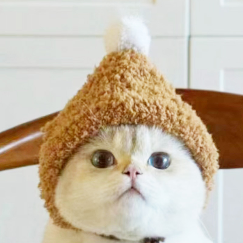 猫咪帽子露耳朵头套可爱冬季银渐层英短加绒变装帽拍照专用巫师帽