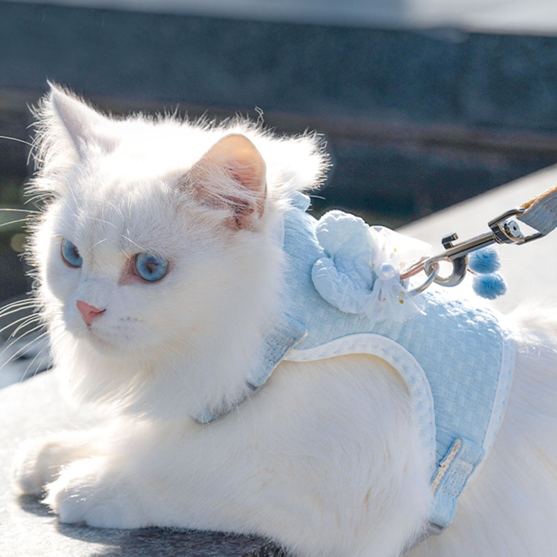 猫绳牵引绳防挣脱可调节款猫咪