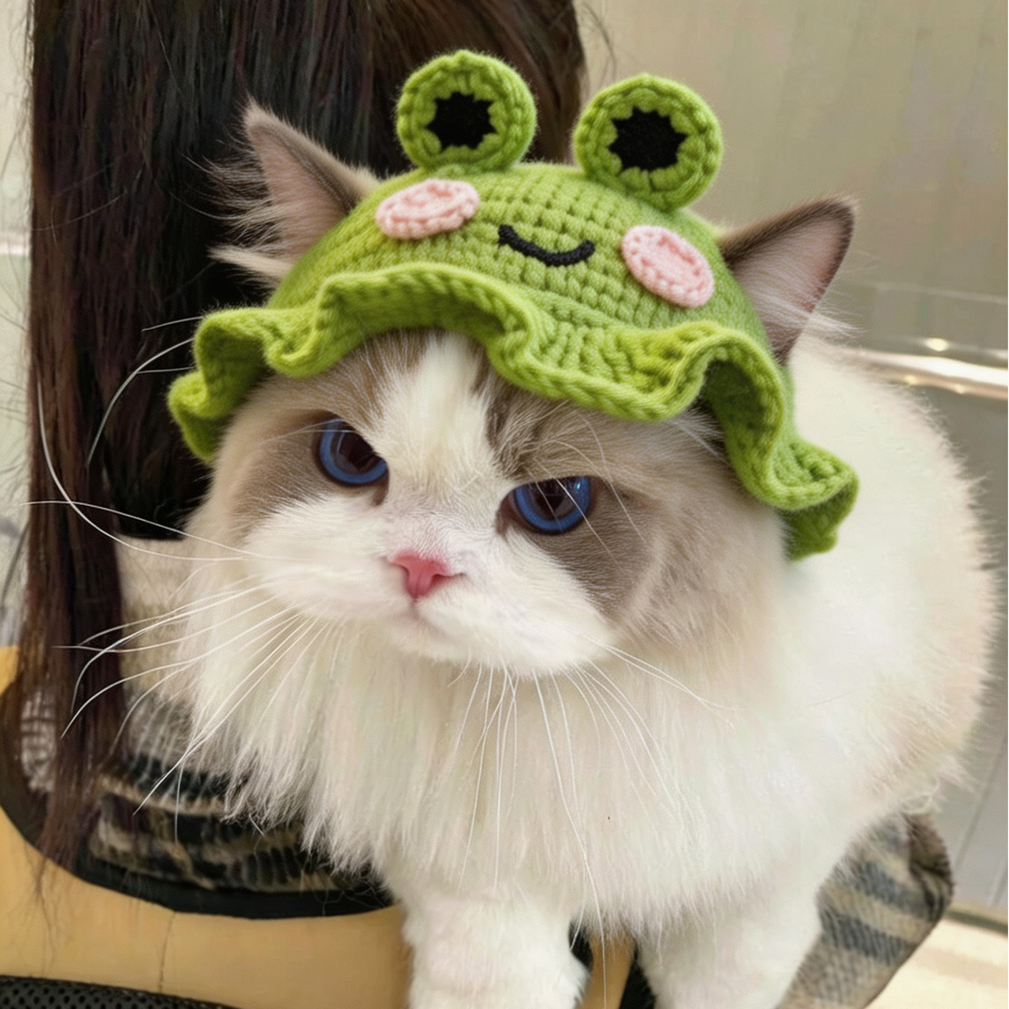 猫咪秋冬保暖帽个性款手工编织毛线可爱造型布偶英短变装卡通帽子