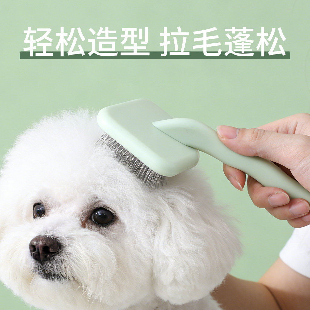狗狗梳子梳毛专用比熊毛发蓬松造型梳美容拉毛梳小型犬针梳开结梳,宠物/宠物食品及用品,猫狗梳子/排梳,淘宝优惠券,粉丝福利购,淘宝优惠卷