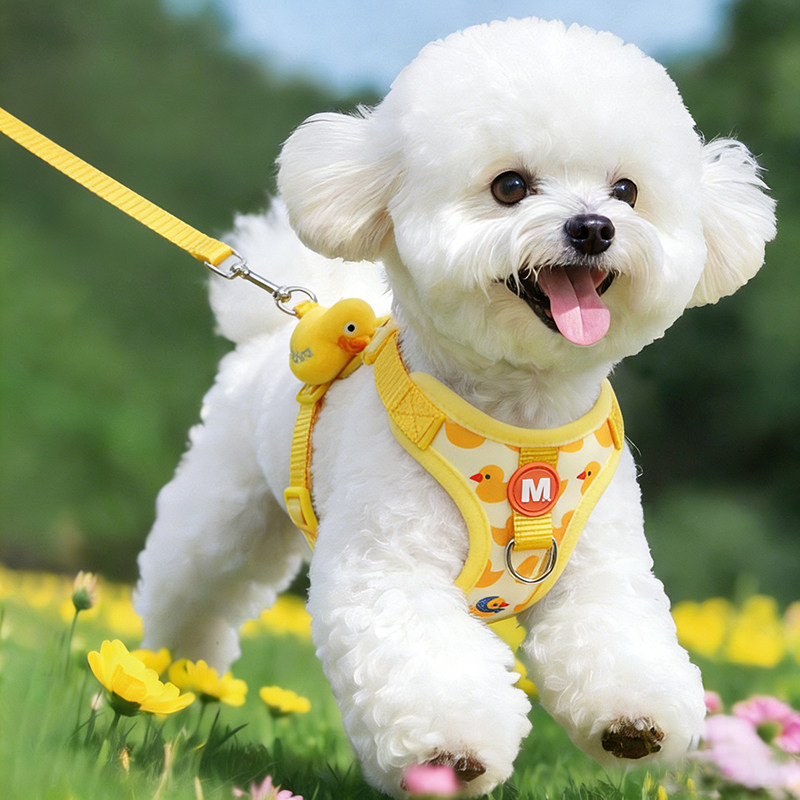 狗狗牵引绳小型犬背心式胸背带狗绳防爆冲工字型可调节比熊遛狗绳,宠物/宠物食品及用品,狗牵引绳,淘宝优惠券,粉丝福利购,淘宝优惠卷