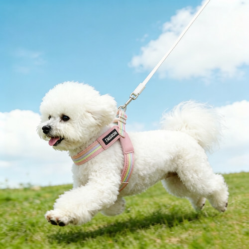 狗牵引绳防挣脱狗专用胸背狗绳小型犬遛狗宠物用品防脱逃彩色条纹