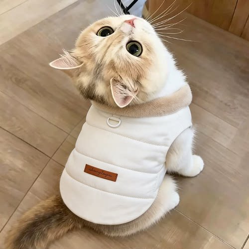 猫咪衣服英短小奶猫暹罗猫防掉毛幼猫高颜值秋冬季新款加厚居家服