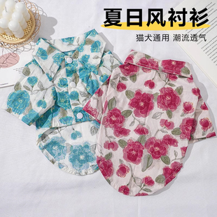 狗狗衣服小型犬秋天幼犬防脏比熊衬衫 马尔济斯 雪纳瑞泰迪衬衣短袖