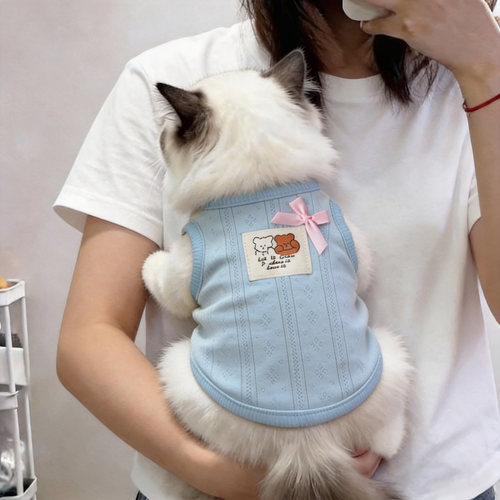 小猫衣服薄款幼猫夏天防掉毛猫咪布偶猫纯色可爱背心居家透气橘猫