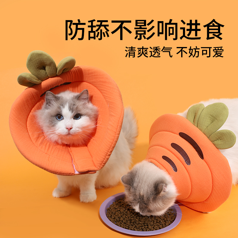 猫咪伊丽莎白圈可调节胡萝卜