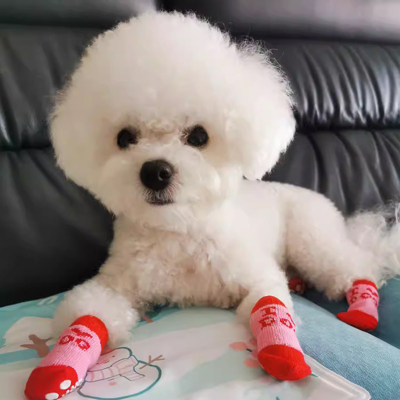 狗狗袜子防滑脚套不掉防抓防脏小型犬比熊泰迪四季户外室内专用,宠物/宠物食品及用品,袜子,淘宝优惠券,粉丝福利购,淘宝优惠卷