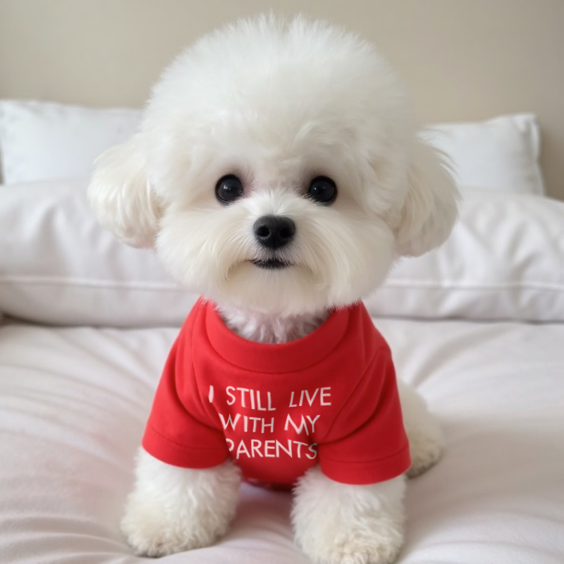 狗狗衣服小型犬秋天幼犬防脏短袖泰迪比熊卫衣外出遛狗圆领秋冬款