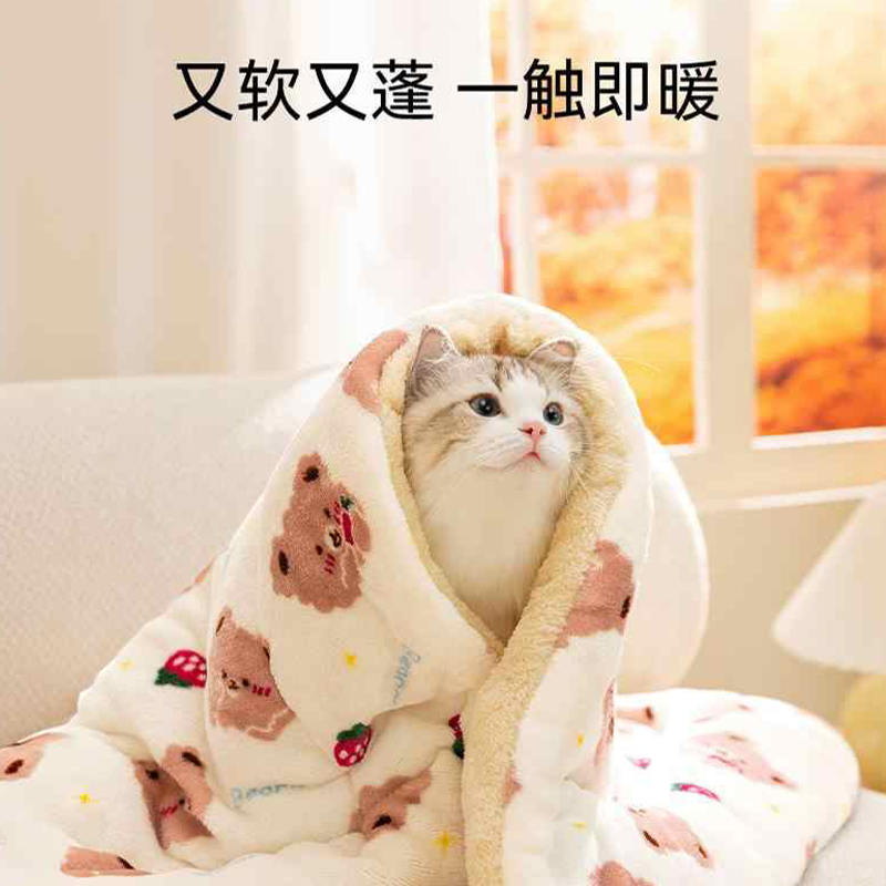 猫咪毯子睡觉专用毛毯猫被子小奶猫银渐层布偶猫居家午睡加绒盖毯